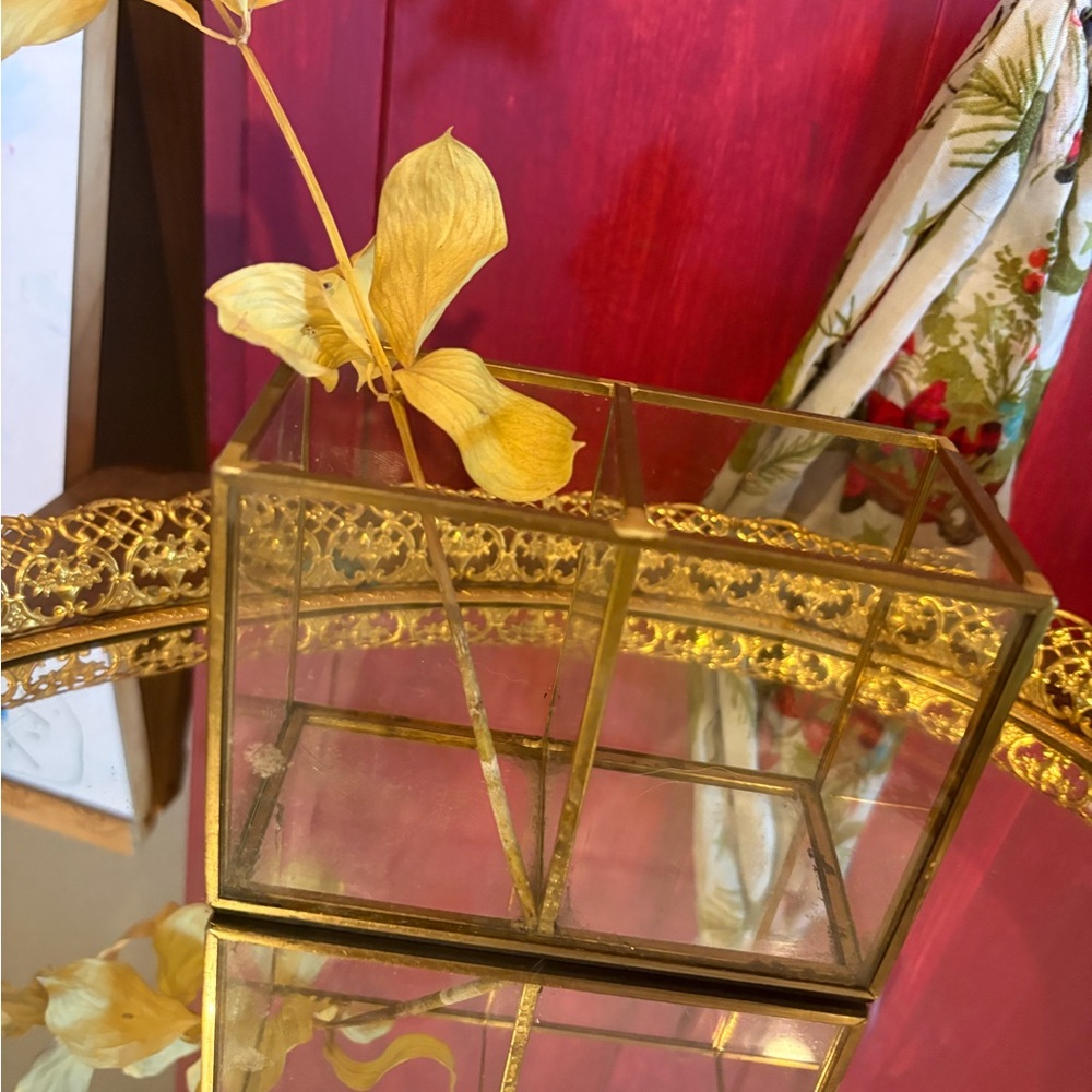 Vintage Gold Glass Display Box/ Holder